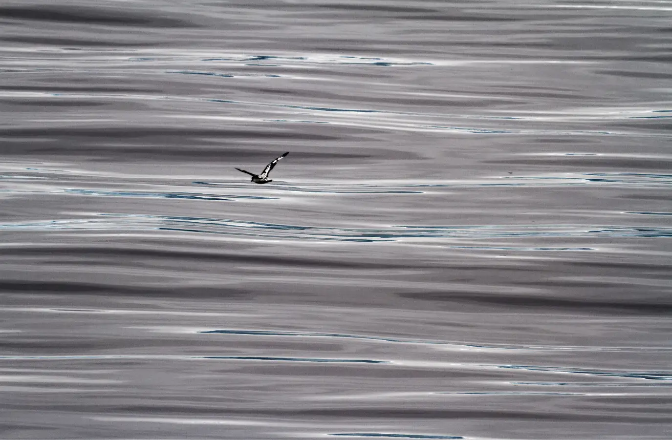 Strong wind channels rolling over open ocean swell
