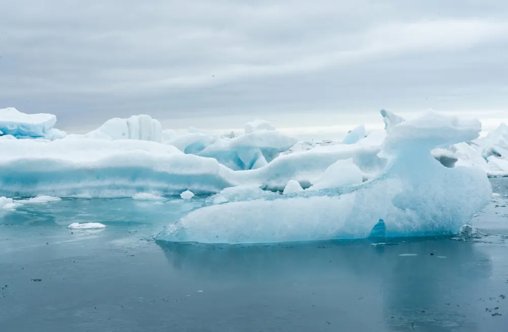 Albatross Circumpolar Southern Ocean Habitat Range