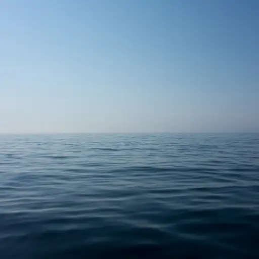 Marine carrion ocean scavenging