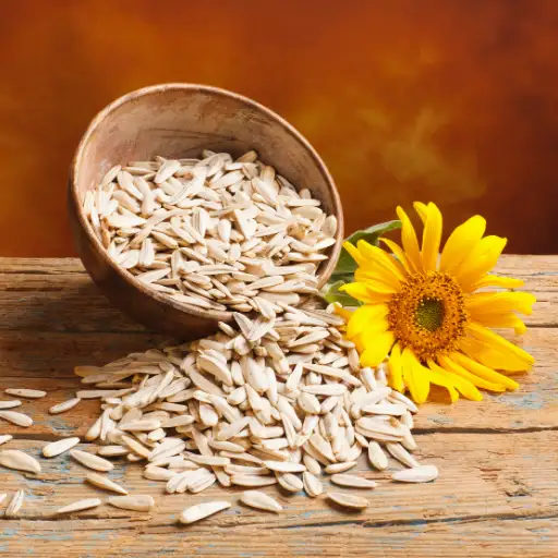 Sunflower seeds from agricultural fields