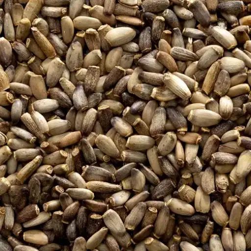 Thistle seeds