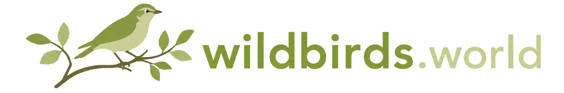 Wild Birds World