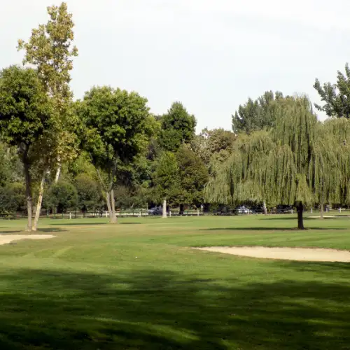 Park and golf course habitat with mown grass and mature trees