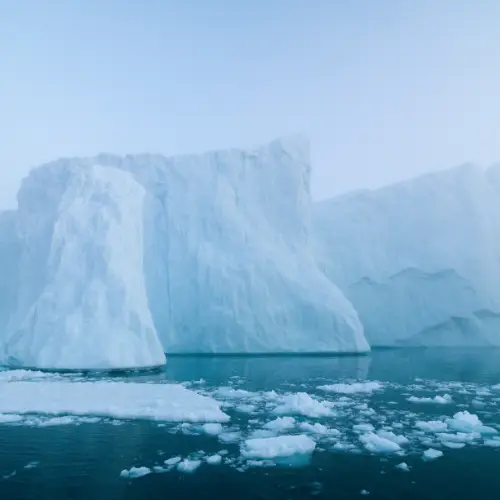 Cold Arctic and sub-Arctic waters