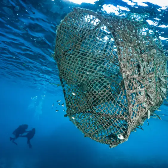 Fishing Nets