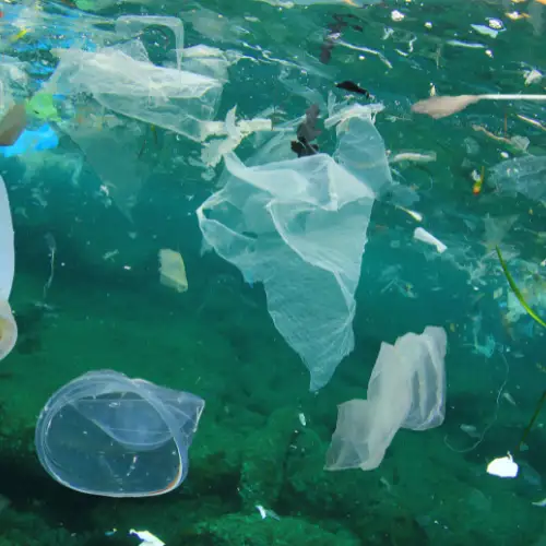 Marine Pollution