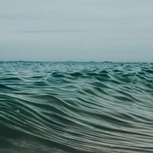 Nearshore Marine Waters habitat