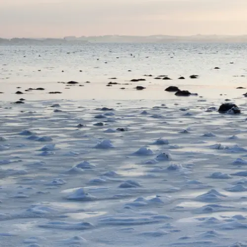 Open water leads in sea ice