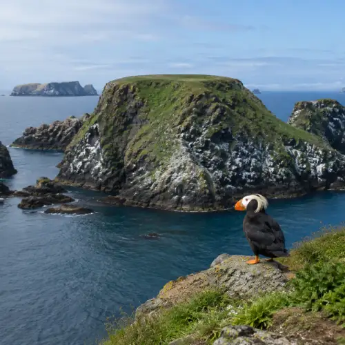 Remote offshore island habitat