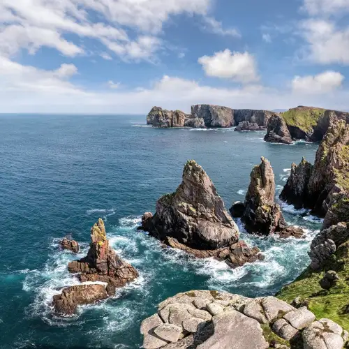 Rocky Offshore Islands habitat
