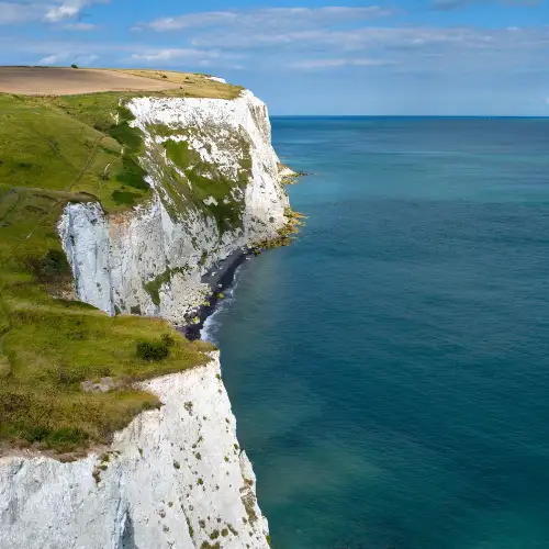 Rocky sea cliff habitat