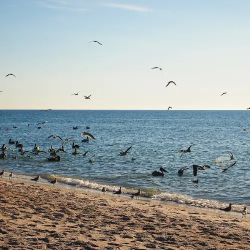 Shallow coastal waters near cliffs