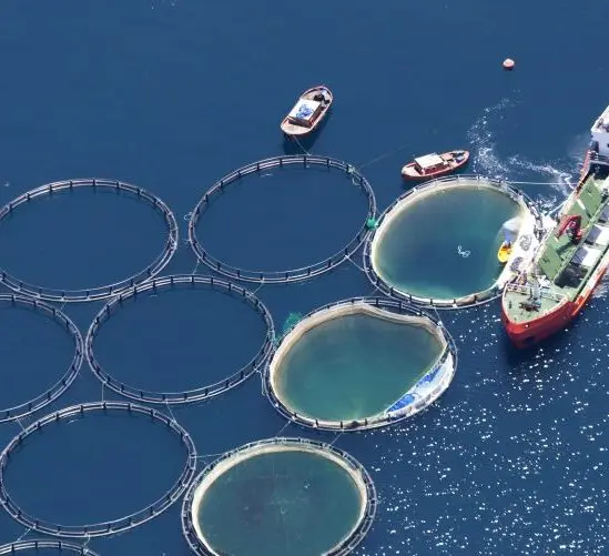Sustainable Fisheries
