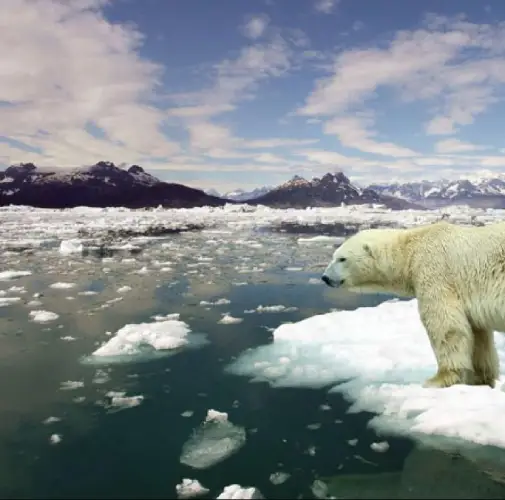 Climate Change
