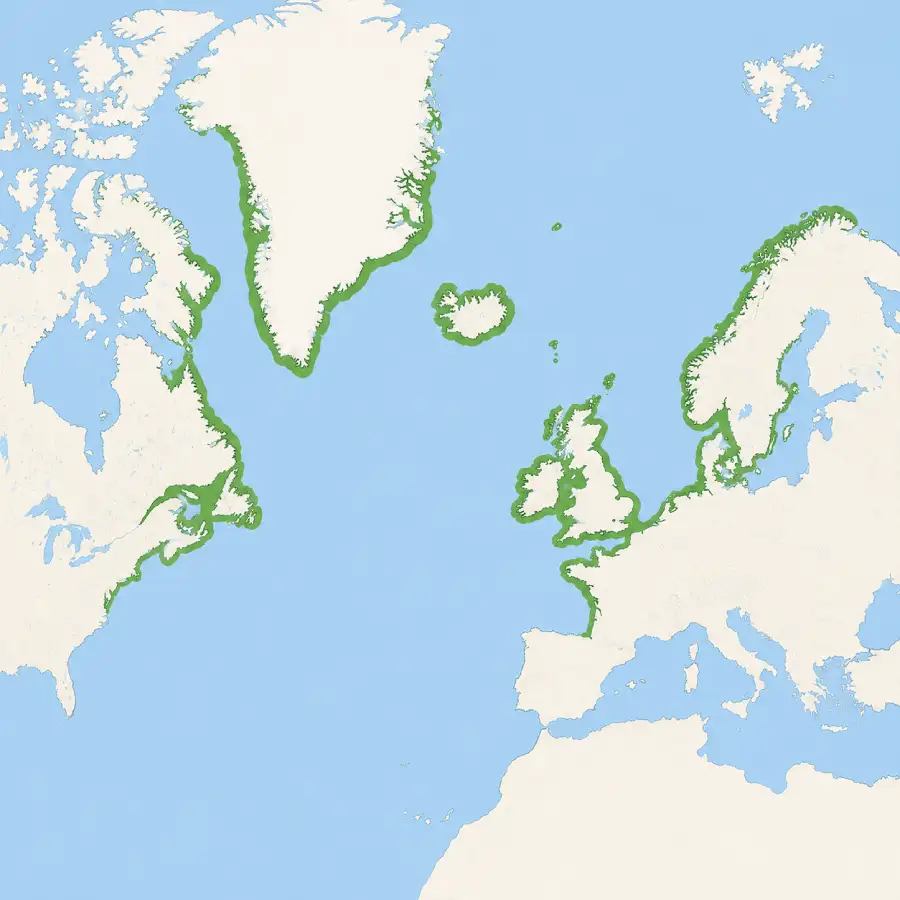 Overall distribution map of Razorbills including breeding and wintering ranges
